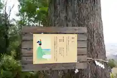 熊野那智神社(宮城県)