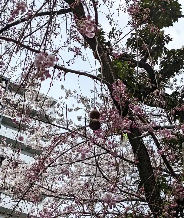秋葉神社の自然