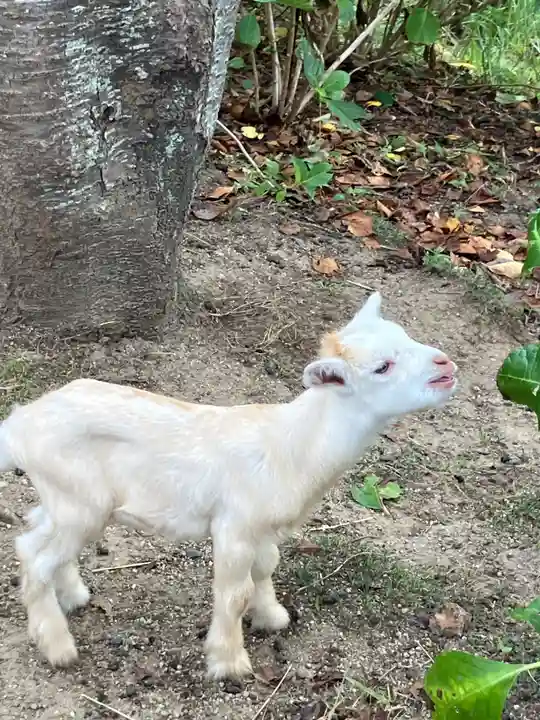 楽法寺(雨引観音)(茨城県)