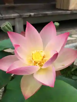 十輪院(奈良県)
