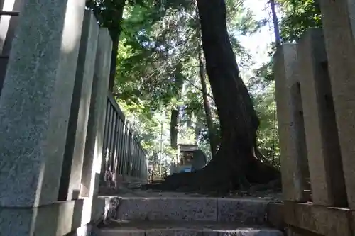 御首神社の自然