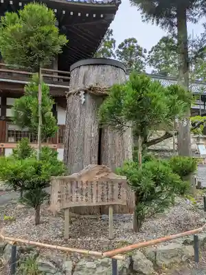 伊太祁曽神社(和歌山県)