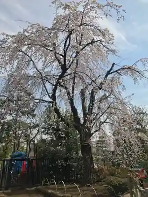 穴八幡宮(東京都)