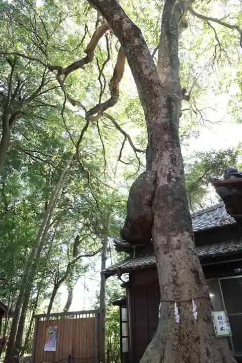 氷川女體神社(埼玉県)