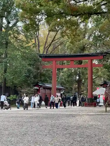 武蔵一宮氷川神社(埼玉県)