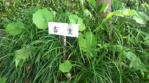 宝満寺の自然