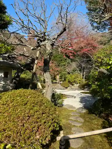 浄妙寺の庭園