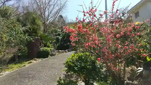 天龍山 誓海寺(愛知県)