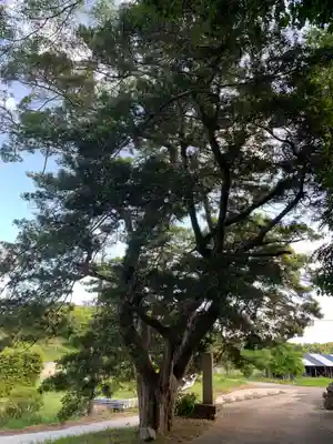 遍照院(千葉県)