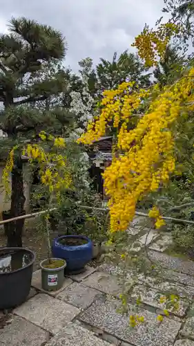 勝林寺(京都府)