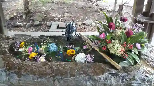 琴似神社の手水