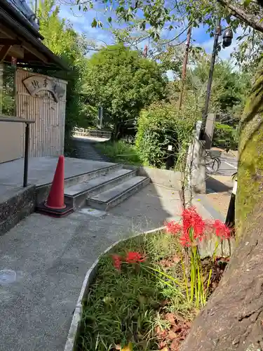 大覚寺(京都府)