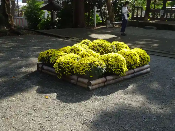 比々多神社の自然