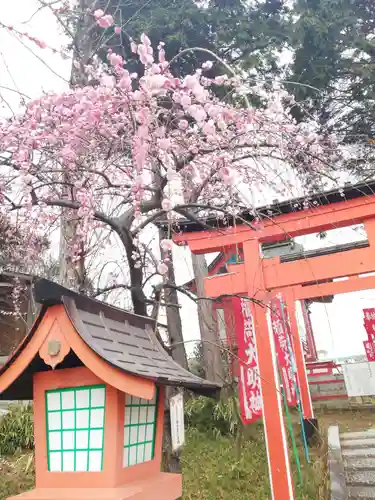 到津八幡神社のその他建物