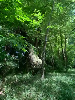 賀茂御祖神社（下鴨神社）の周辺