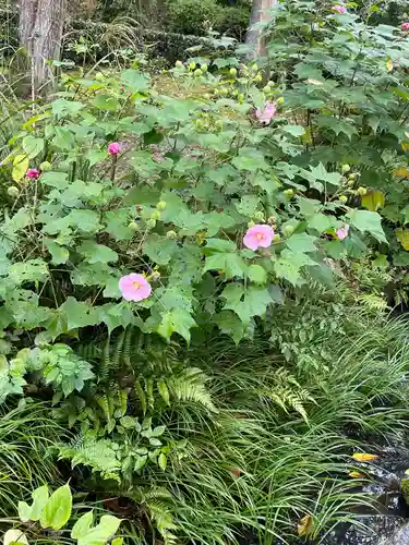 天龍寺(京都府)
