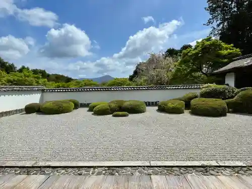 正伝護国禅寺(正伝寺･正傳寺)の庭園