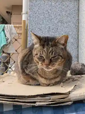 白金氷川神社(東京都)