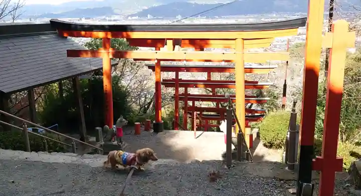 浮羽稲荷神社の{uncategorized: "未分類", other: "その他", undefined: "問題あり", building: "その他建物", grave: "お墓", sacred_gate: "鳥居", guardian: "狛犬", statue: "像", buddha: "仏像", history: "歴史", nature: "自然", garden: "庭園", animal: "動物", pagoda: "塔", temizu: "手水舎", mountain_gate: "山門・神門", sanctuary: "本殿・本堂", subordinate: "末社・摂社", art: "芸術", scenery: "景色", jizo: "地蔵", ema: "絵馬", goshuin: "御朱印", omikuji: "おみくじ", items: "授与品その他", amulet: "お守り", goshuincho: "御朱印帳", eats: "食事", festival: "お祭り", votive_dance: "神楽", shichigosan: "七五三参", wedding: "結婚式", experience: "体験その他", initially: "初詣", around: "周辺", anti_infection: "感染症対策"}