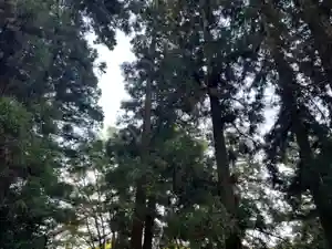 大宮温泉神社(栃木県)(2023年10月04日(水) 10時09分17秒投稿)