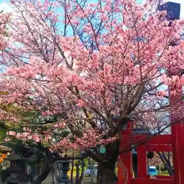 彌彦神社　(伊夜日子神社)の自然