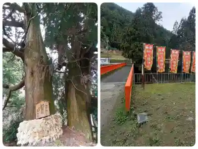 流谷八幡神社の{uncategorized: "未分類", other: "その他", undefined: "問題あり", building: "その他建物", grave: "お墓", sacred_gate: "鳥居", guardian: "狛犬", statue: "像", buddha: "仏像", history: "歴史", nature: "自然", garden: "庭園", animal: "動物", pagoda: "塔", temizu: "手水舎", mountain_gate: "山門・神門", sanctuary: "本殿・本堂", subordinate: "末社・摂社", art: "芸術", scenery: "景色", jizo: "地蔵", ema: "絵馬", goshuin: "御朱印", omikuji: "おみくじ", items: "授与品その他", amulet: "お守り", goshuincho: "御朱印帳", eats: "食事", festival: "お祭り", votive_dance: "神楽", shichigosan: "七五三参", wedding: "結婚式", experience: "体験その他", initially: "初詣", around: "周辺", anti_infection: "感染症対策"}