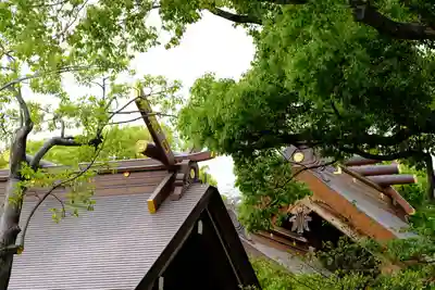 和泉國一之宮　大鳥大社の本殿・本堂