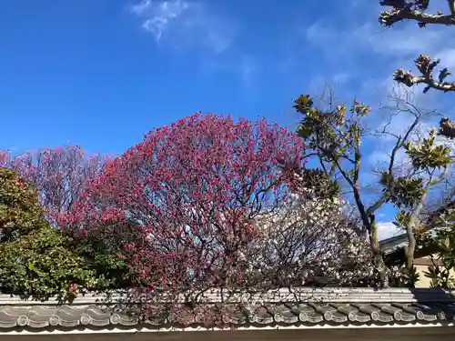 薬師院(神奈川県)
