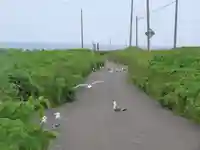 厳島神社(北海道)