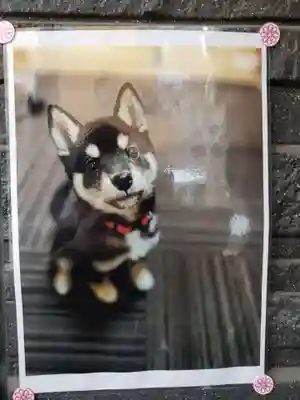 【閉業】小石川大神宮(東京都)