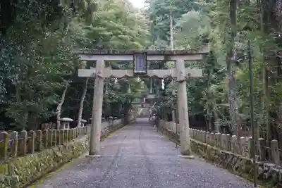 崇道神社の鳥居