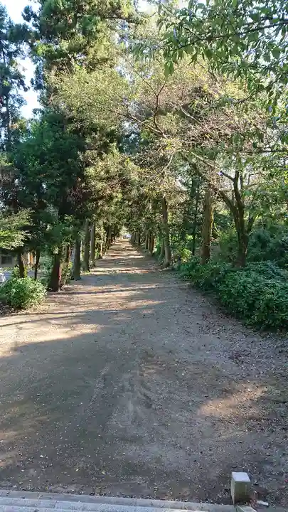 千代ケ岡八幡宮(栃木県)