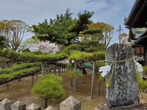 尾上神社の庭園