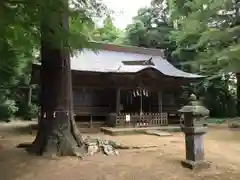 楯縫神社の本殿