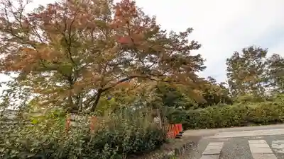 妙心寺（妙心禅寺）(京都府)