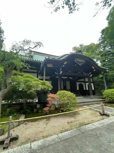 妙本寺の{uncategorized: "未分類", other: "その他", undefined: "問題あり", building: "その他建物", grave: "お墓", sacred_gate: "鳥居", guardian: "狛犬", statue: "像", buddha: "仏像", history: "歴史", nature: "自然", garden: "庭園", animal: "動物", pagoda: "塔", temizu: "手水舎", mountain_gate: "山門・神門", sanctuary: "本殿・本堂", subordinate: "末社・摂社", art: "芸術", scenery: "景色", jizo: "地蔵", ema: "絵馬", goshuin: "御朱印", omikuji: "おみくじ", items: "授与品その他", amulet: "お守り", goshuincho: "御朱印帳", eats: "食事", festival: "お祭り", votive_dance: "神楽", shichigosan: "七五三参", wedding: "結婚式", experience: "体験その他", initially: "初詣", around: "周辺", anti_infection: "感染症対策"}