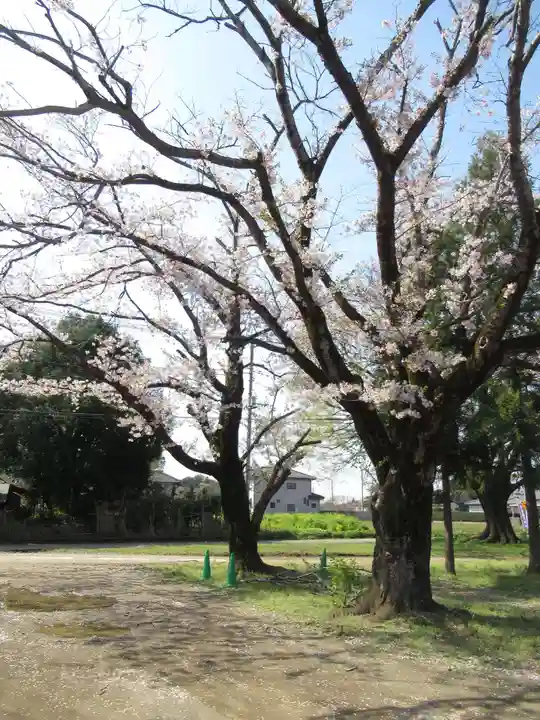 伏木香取神社(茨城県)