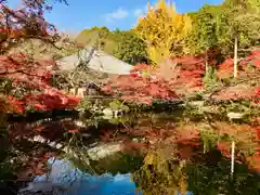 醍醐寺の庭園