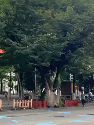 大國魂神社(東京都)