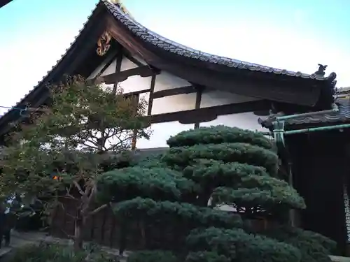 東寺（教王護国寺）(京都府)
