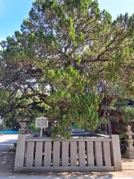 高砂神社(兵庫県)
