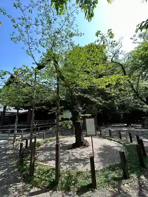 靖國神社(東京都)
