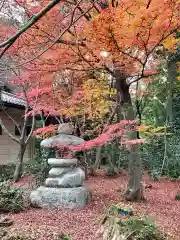 金剛輪寺の建物その他