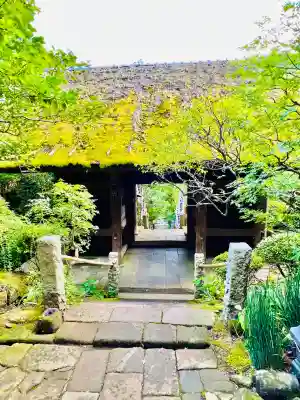 杉本寺(神奈川県)