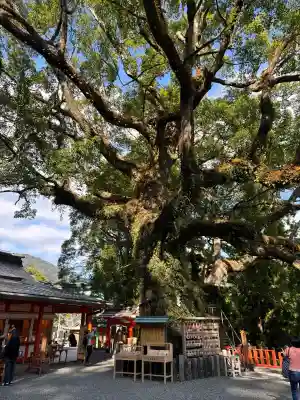 熊野那智大社(和歌山県)