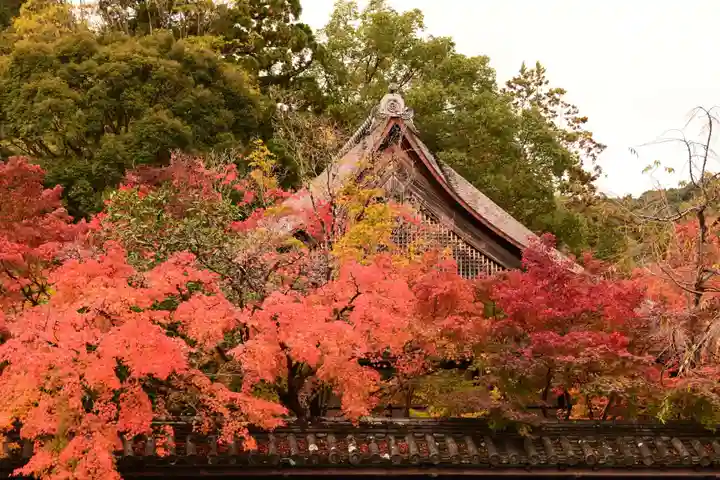 天授庵(京都府)
