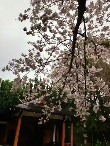 阿佐ヶ谷神明宮(東京都)