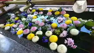 浅草神社の手水舎(2021年09月08日(水) 16時25分30秒投稿)