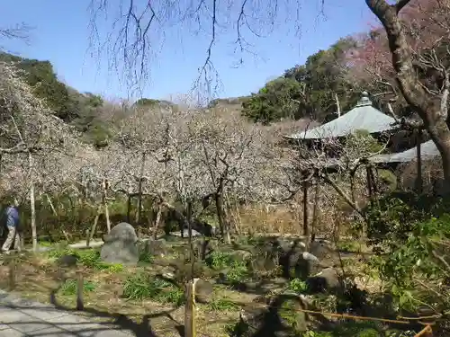 瑞泉寺の庭園