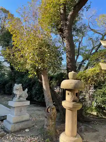 難波大社　生國魂神社の狛犬